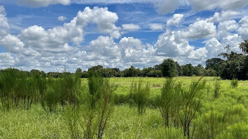 Chito Branch Reserve - Lithia, FL