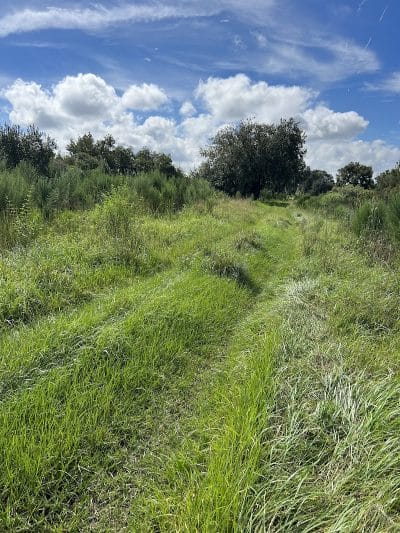 Chito Branch Reserve - Lithia, FL