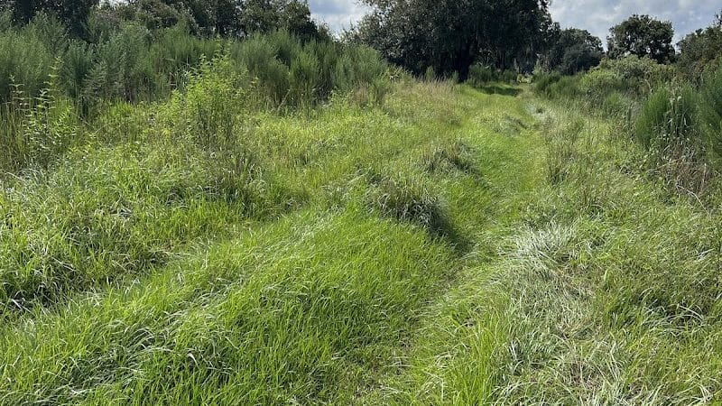 Chito Branch Reserve - Lithia, FL
