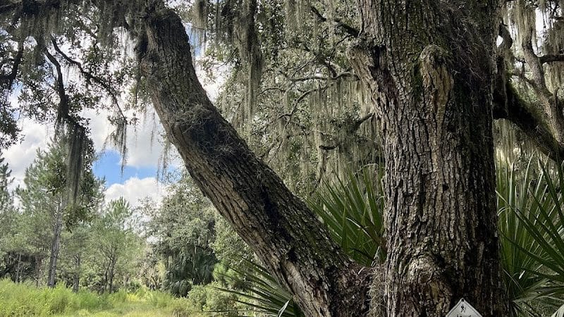 Chito Branch Reserve - Lithia, FL