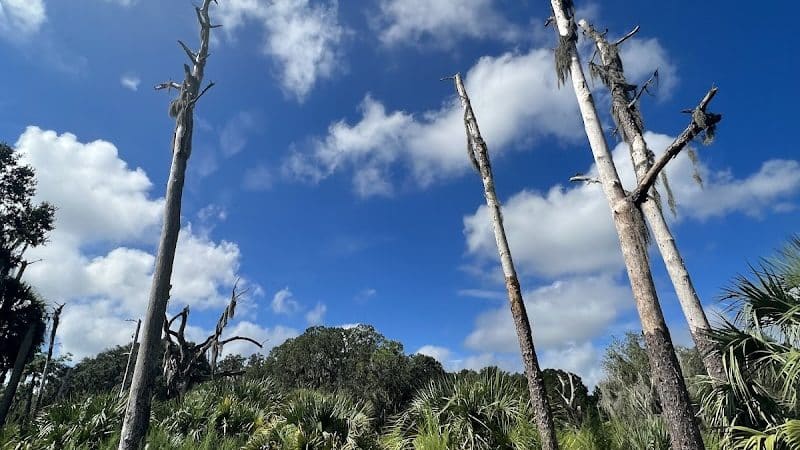 Chito Branch Reserve - Lithia, FL