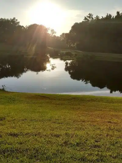 Cross Park - Lithia, FL