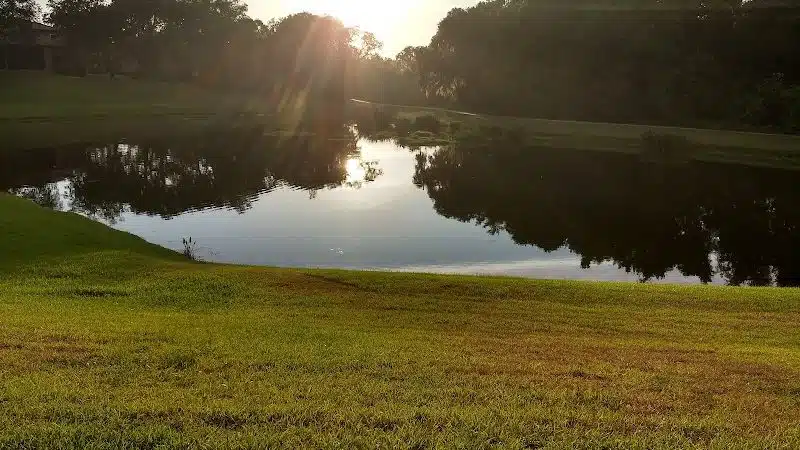 Cross Park - Lithia, FL