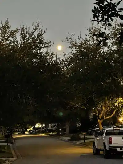 Cross Park - Lithia, FL