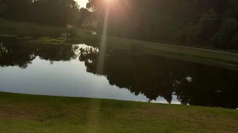 Cross Park - Lithia, FL