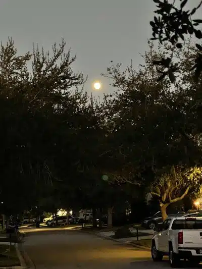 Cross Park - Lithia, FL