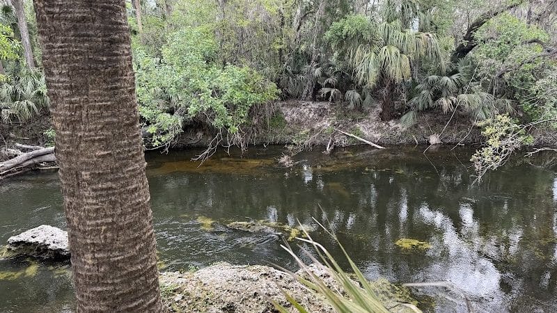 Fishhawk Creek Nature Preserve North - Lithia, FL