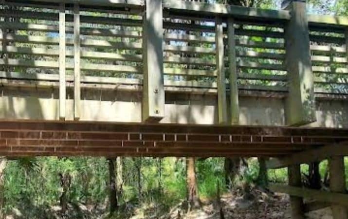 Fishhawk Creek Nature Preserve North - Lithia, FL