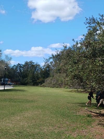 Ibis Park - Lithia, FL
