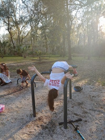 Ibis Park - Lithia, FL