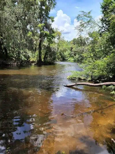 Lithia Springs Park - Lithia, FL