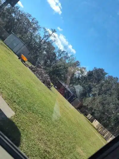 Park Square - Lithia, FL