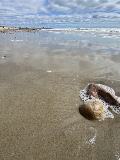 Town of Little Compton Beach - Little Compton, RI
