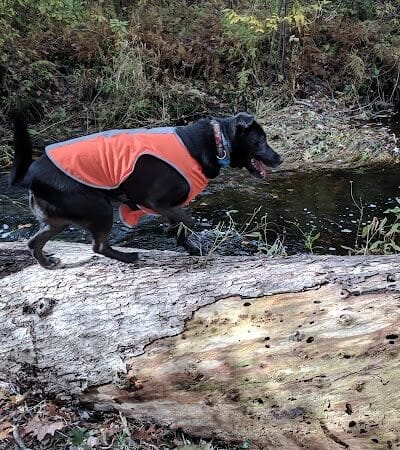 Wilbour Woods - Little Compton, RI