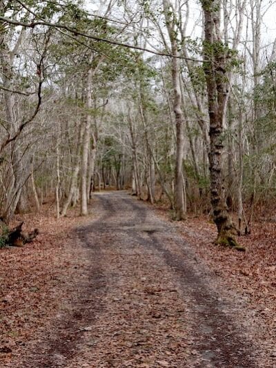 Wilbour Woods - Little Compton, RI