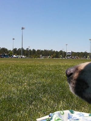 NMB Sports Park Soccer/Frisbee/Lacrosse