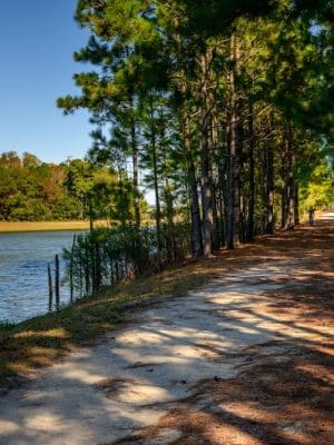 North Myrtle Beach Park and Sports Complex