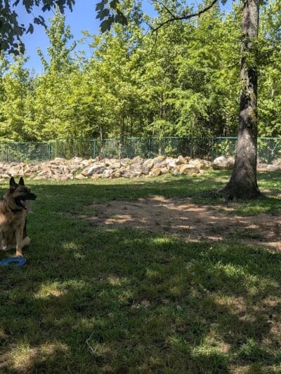 Locust Dog Park - Locust, NC