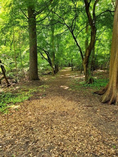 Bailey Arboretum County Park - Locust Valley, NY