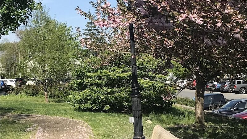 Thomas Park - Locust Valley, NY