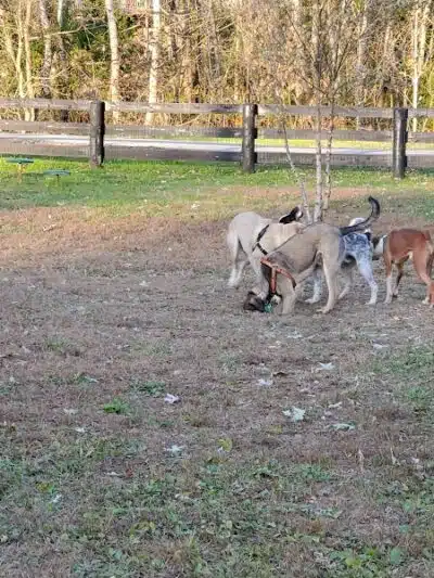 Dixie Street Park - London, KY