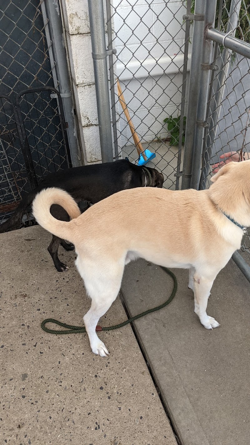 Posh Pets Rescue - Long Beach, NY