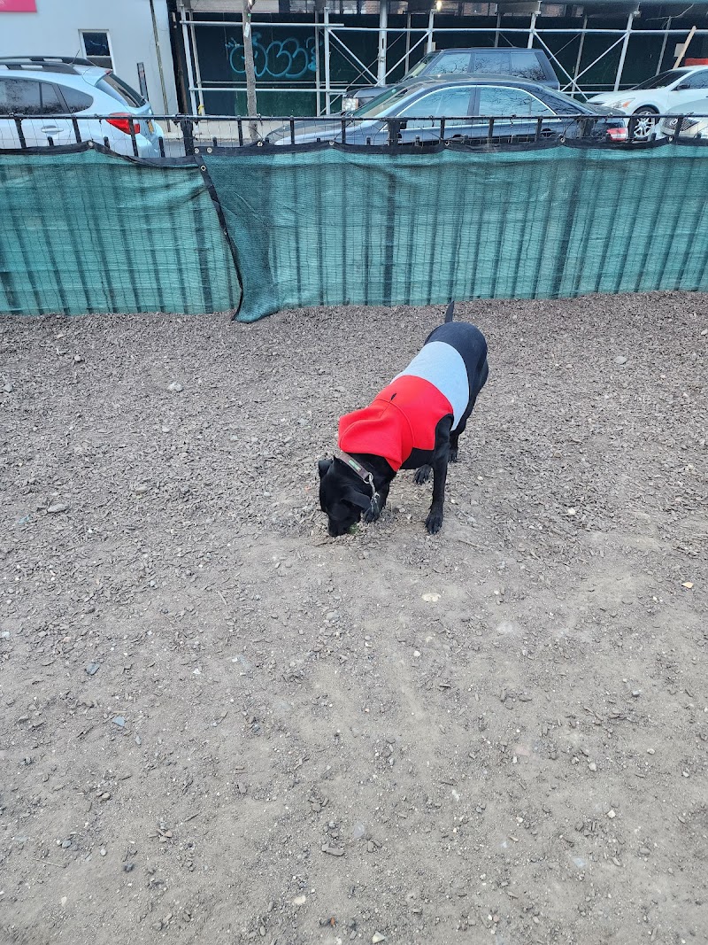 Murray Playground Dog Run - Long Island City, NY