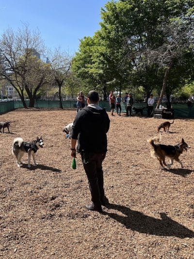 Murray Playground Dog Run - Long Island City, NY