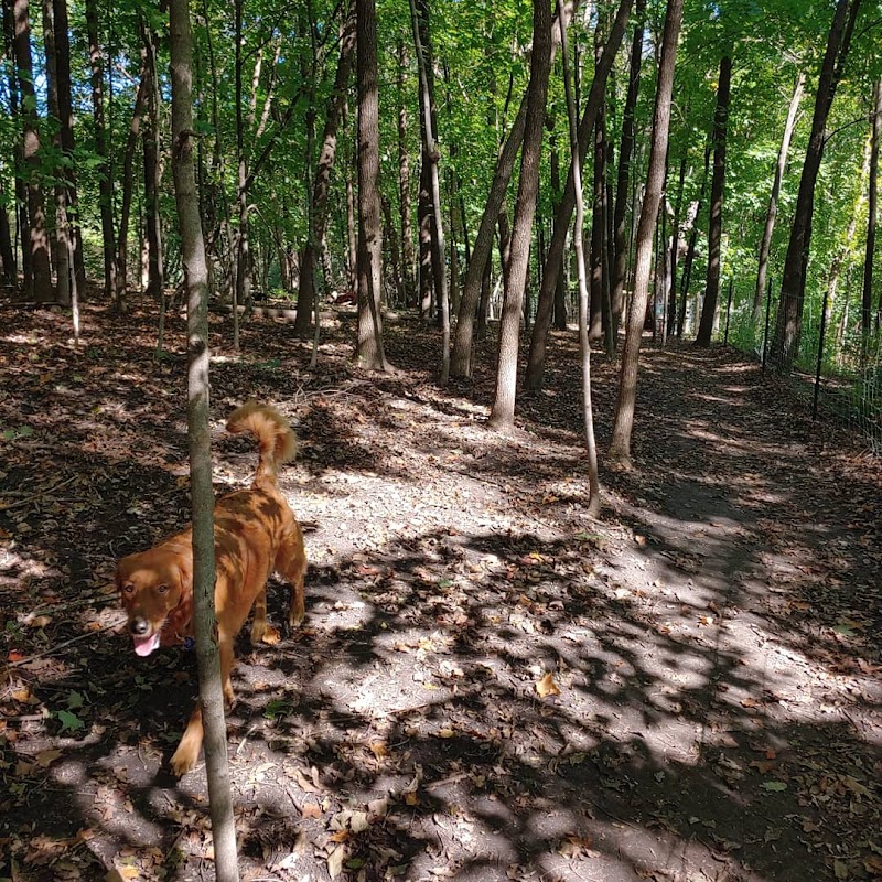 Susan E. Lurton Park - Long Lake, MN