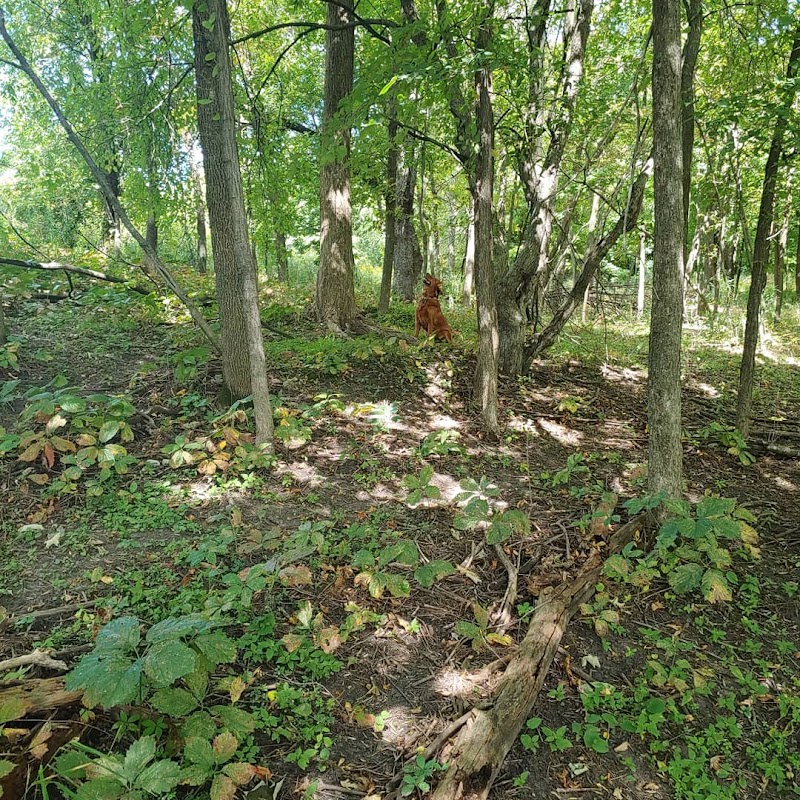 Susan E. Lurton Park - Long Lake, MN