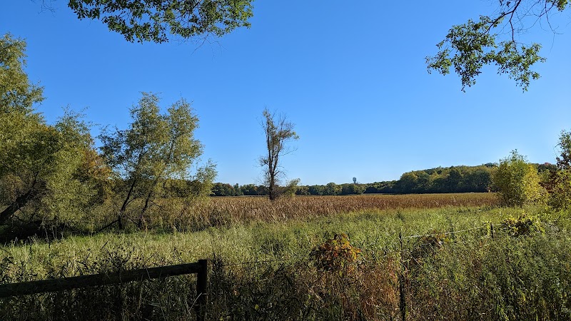 Susan E. Lurton Park - Long Lake, MN