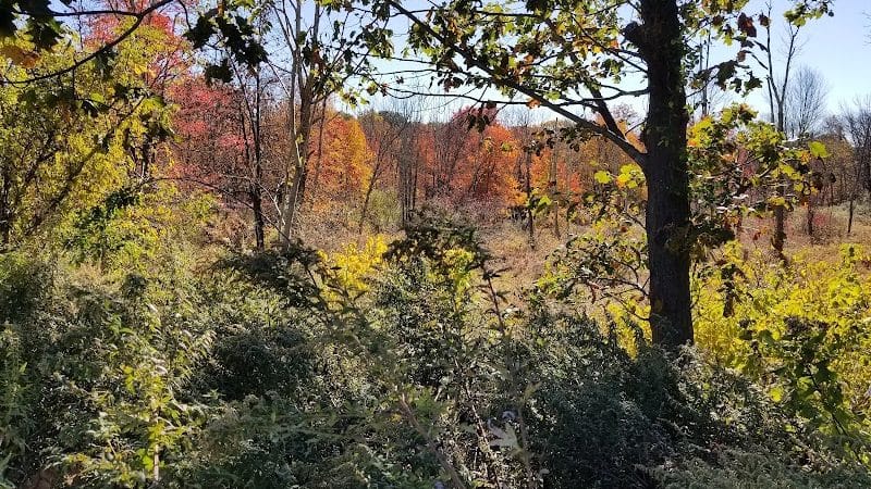 Rock Spring Park - Long Valley, NJ