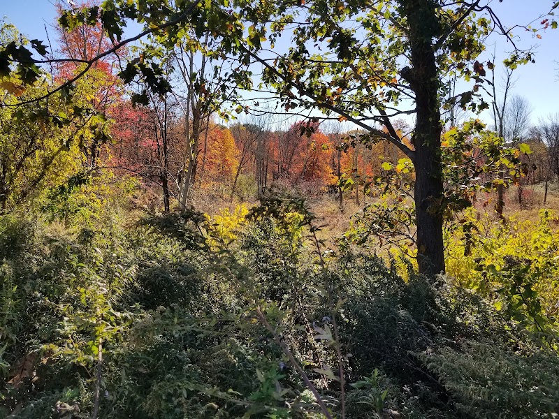 Rock Spring Park - Long Valley, NJ