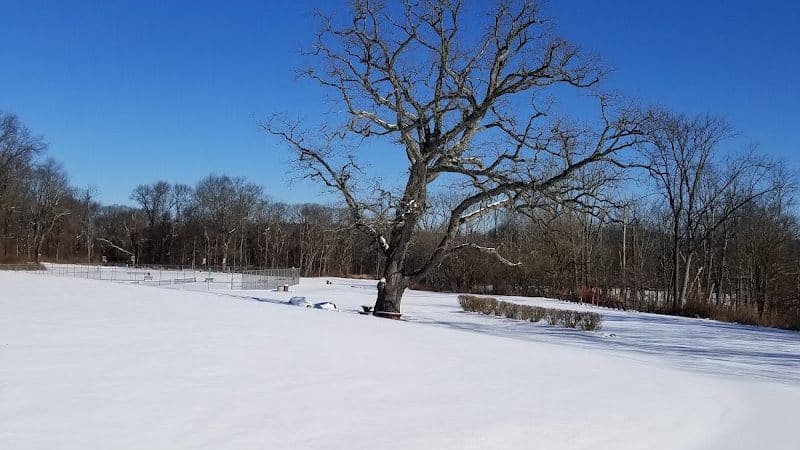 Rock Spring Park - Long Valley, NJ