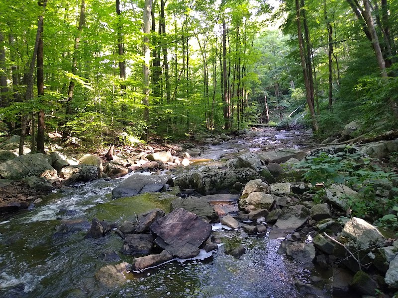 The Lodge at Schooleys Mountain County Park - Long Valley, NJ