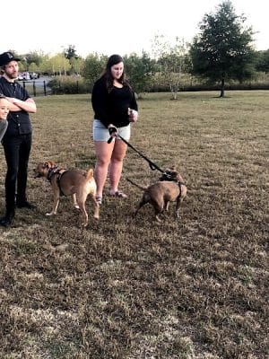 Barklands