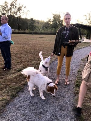 Barklands