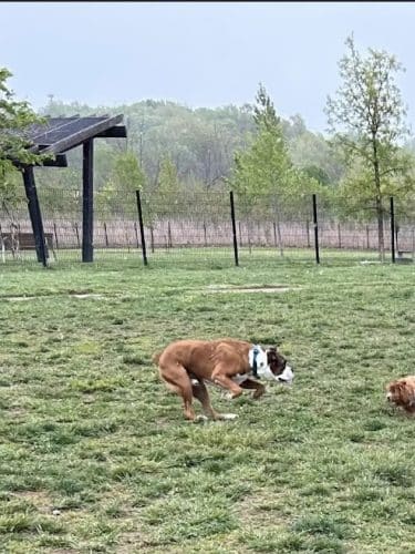 Barklands
