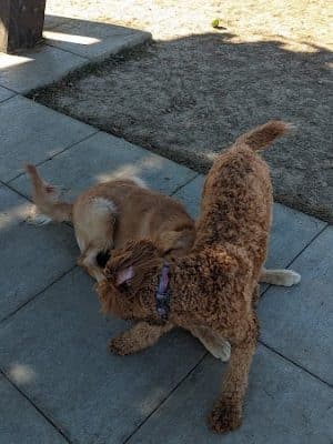 Barklands