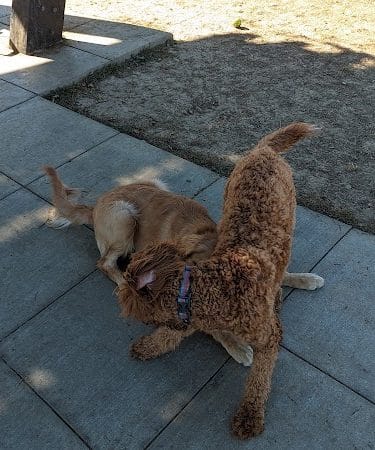 Barklands