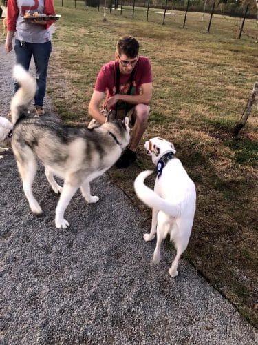 Barklands