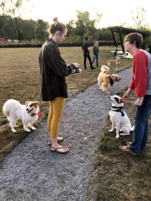 Barklands