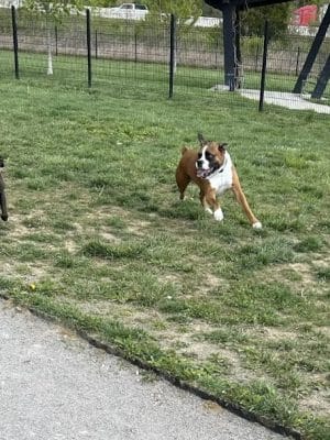 Barklands