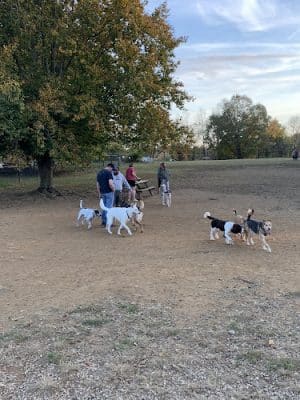 Cochran Hill Dog Run (Members Only)