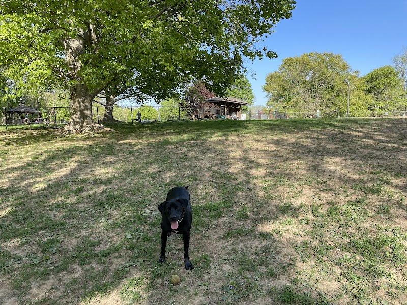 Cochran Hill Dog Run (Members Only) - Louisville, KY
