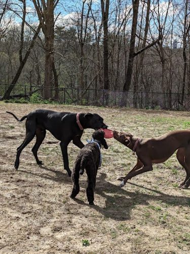 Cochran Hill Dog Run (Members Only)