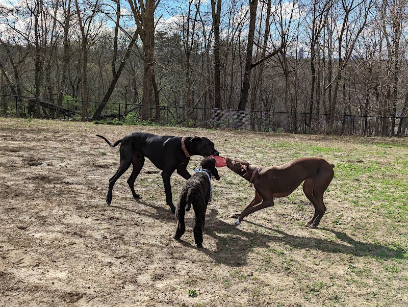 Cochran Hill Dog Run (Members Only) - Louisville, KY