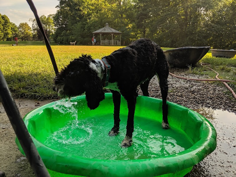 Cochran Hill Dog Run (Members Only) - Louisville, KY