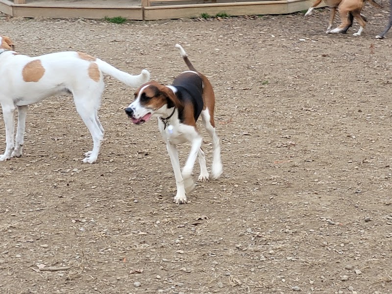 Cochran Hill Dog Run (Members Only) - Louisville, KY