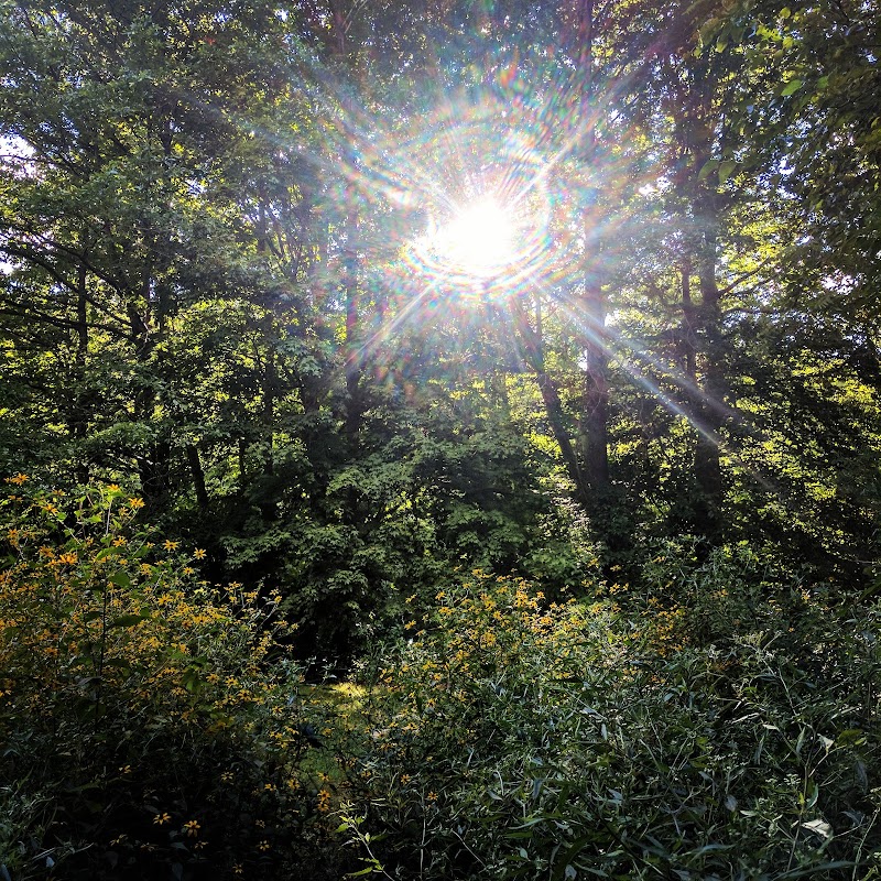 Cochran Hill Dog Run (Members Only) - Louisville, KY
